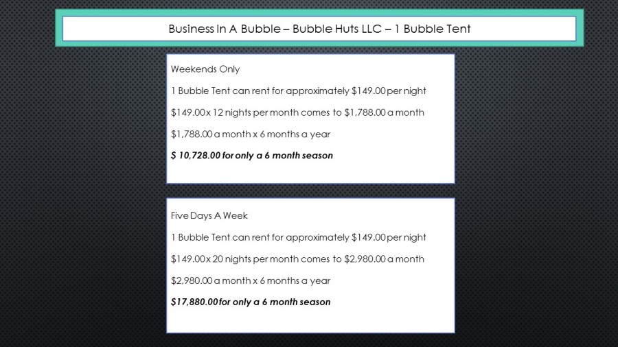 Business in a Bubble 1 Bubble Tent